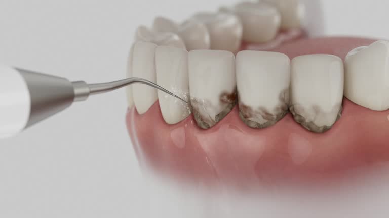 Reliable Dental contractor in Ashland, MO by Dentist Open Now